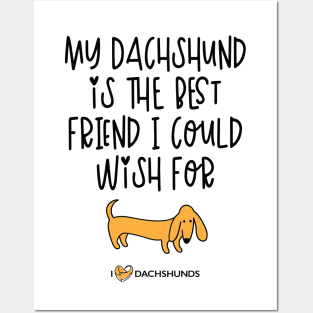 My Dachshund Is The Best Friend I Could Wish For Posters and Art